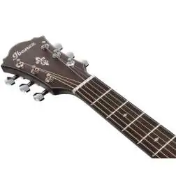 Ibanez AE100-DBF
