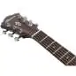 Ibanez AE100-DBF