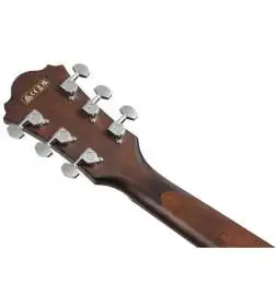 Ibanez AE100-DBF