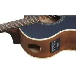 Ibanez AE100-DBF