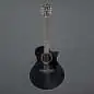 Ibanez AE140-WKH