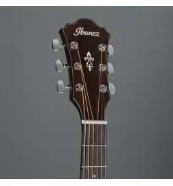 Ibanez AE140-WKH