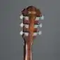 Ibanez AE140-WKH