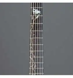 Taylor 414ce-R LTD