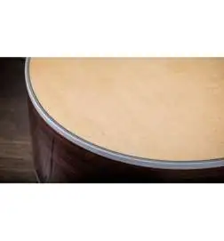 Taylor 454ce 12-String Natural