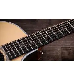 Taylor 454ce 12-String Natural