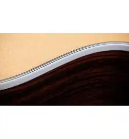 Taylor 454ce 12-String Natural