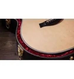Taylor 454ce 12-String Natural