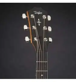 Taylor Builder s Edition 717e Wild Honey Burst