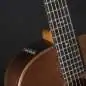 Taylor Builder's Edition 717e Wild Honey Burst Taylor Builder's Edition 717e Wild Honey Burst