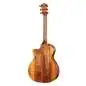 Taylor 724ce Gloss