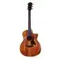 Taylor 724ce Gloss