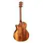 Taylor 724ce Gloss