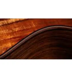 Taylor 724ce Gloss