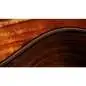 Taylor 724ce Gloss