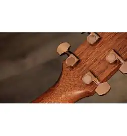 Taylor 724ce Gloss