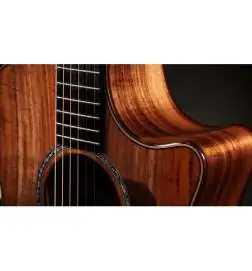 Taylor 724ce Gloss