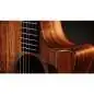 Taylor 724ce Gloss