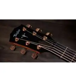 Taylor 724ce Gloss