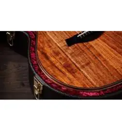 Taylor 724ce Gloss
