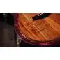 Taylor 724ce Gloss