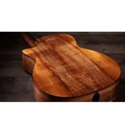 Taylor 724ce Gloss