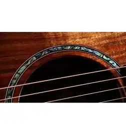 Taylor 724ce Gloss