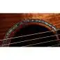 Taylor 724ce Gloss