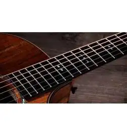 Taylor 724ce Gloss
