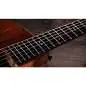 Taylor 724ce Gloss