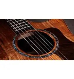 Taylor 724ce Gloss