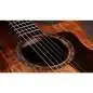 Taylor 724ce Gloss
