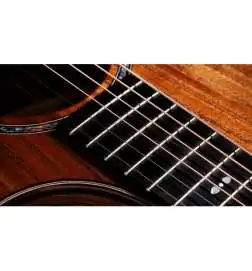 Taylor 724ce Gloss