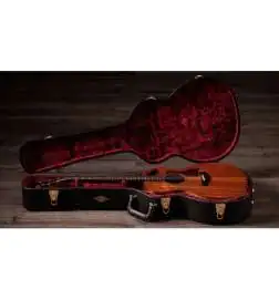 Taylor 724ce Gloss