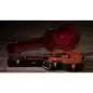 Taylor 724ce Gloss