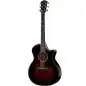 Taylor Builder's Edition 524ce