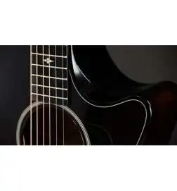 Taylor Builder s Edition 524ce