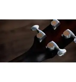 Taylor Builder s Edition 524ce