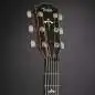 Taylor 614ce