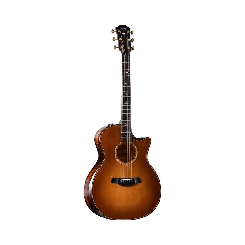 Taylor Builder's Edition 614ce WHB V-Class Model