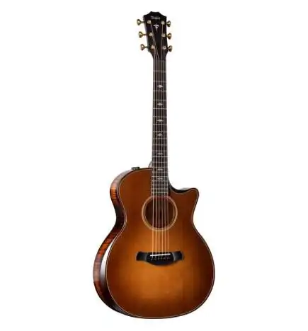 Taylor Builder s Edition 614ce WHB V-Class Model