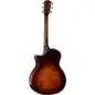 Taylor Builder's Edition 614ce WHB V-Class Model