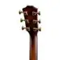 Taylor Builder's Edition 614ce WHB V-Class Model