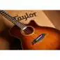 Taylor Builder's Edition 614ce WHB V-Class Model