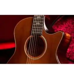 Taylor Builder s Edition 614ce WHB V-Class Model