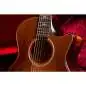 Taylor Builder's Edition 614ce WHB V-Class Model