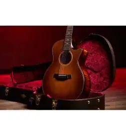 Taylor Builder s Edition 614ce WHB V-Class Model