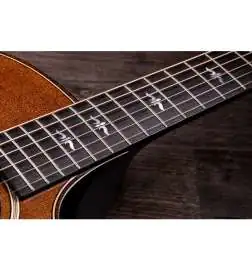 Taylor Builder s Edition 614ce WHB V-Class Model