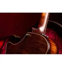 Taylor Builder s Edition 614ce WHB V-Class Model
