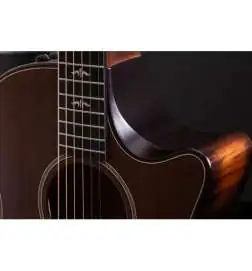 Taylor Builder s Edition 614ce WHB V-Class Model